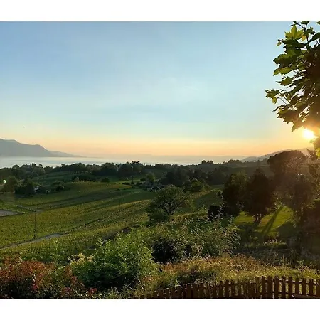 La Vigneronne, Tuin Blonay