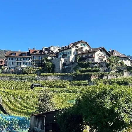 La Vigneronne, Tuin Holiday home